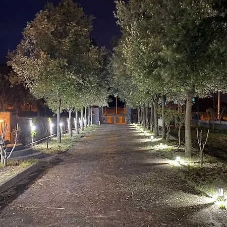 Caterina, Alle Pendici Del Vulcano Etna *