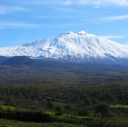 Caterina, Alle Pendici Del Vulcano Etna Villa Viagrande