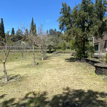 Villa Caterina, Alle Pendici Del Vulcano Etna *